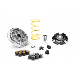 1130216-5119873 : copy of Variateur MALOSSI Multivar 2000 Yamaha Scooter MAX