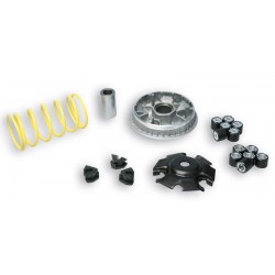 1008015-5113134 : Variateur MALOSSI Multivar 2000 Yamaha Scooter MAX