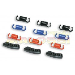 1007968-2911848 : Kit 9 Federn MHR MALOSSI Yamaha Scooter MAX