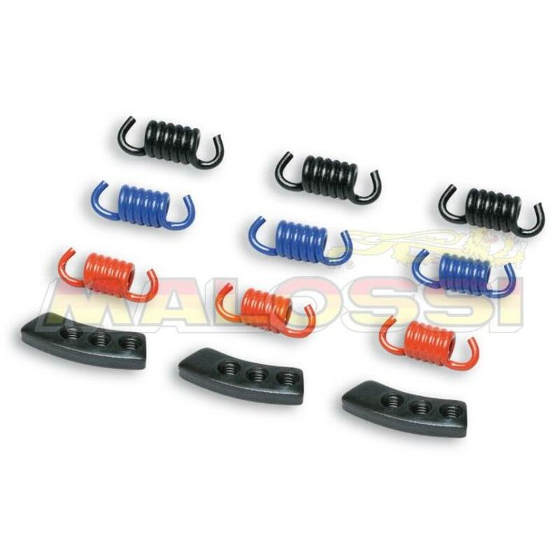 1007968-2911848 : Kit 9 Federn MHR MALOSSI Yamaha Scooter MAX