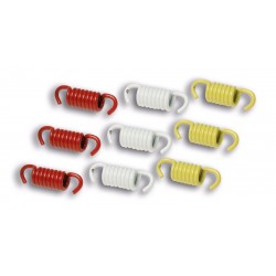 1008138-2911326 : Racing Kupplungsfedern Satz MALOSSI Yamaha Scooter MAX