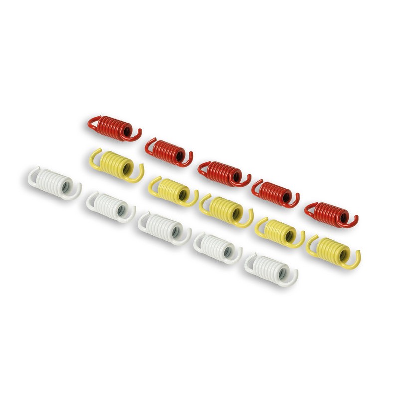 1106976-2913137 : Racing Federn Set 9-teilig MALOSSI Yamaha Scooter MAX